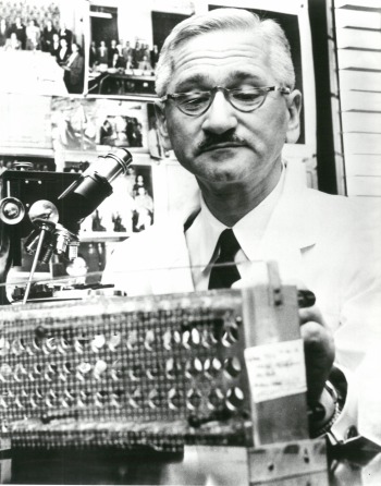 Dr. Albert B. Sabin in his laboratory.