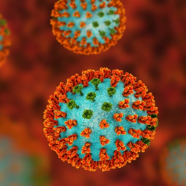 influenza-virus-model