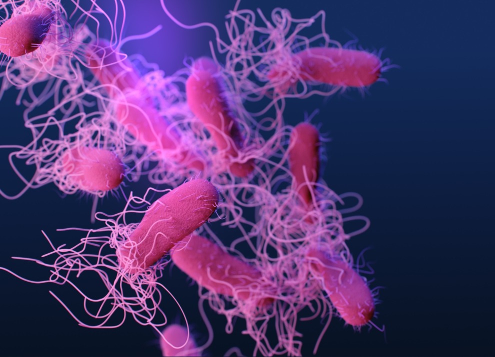 Drug-resistant-Typhoid