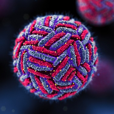 Dengue virus
